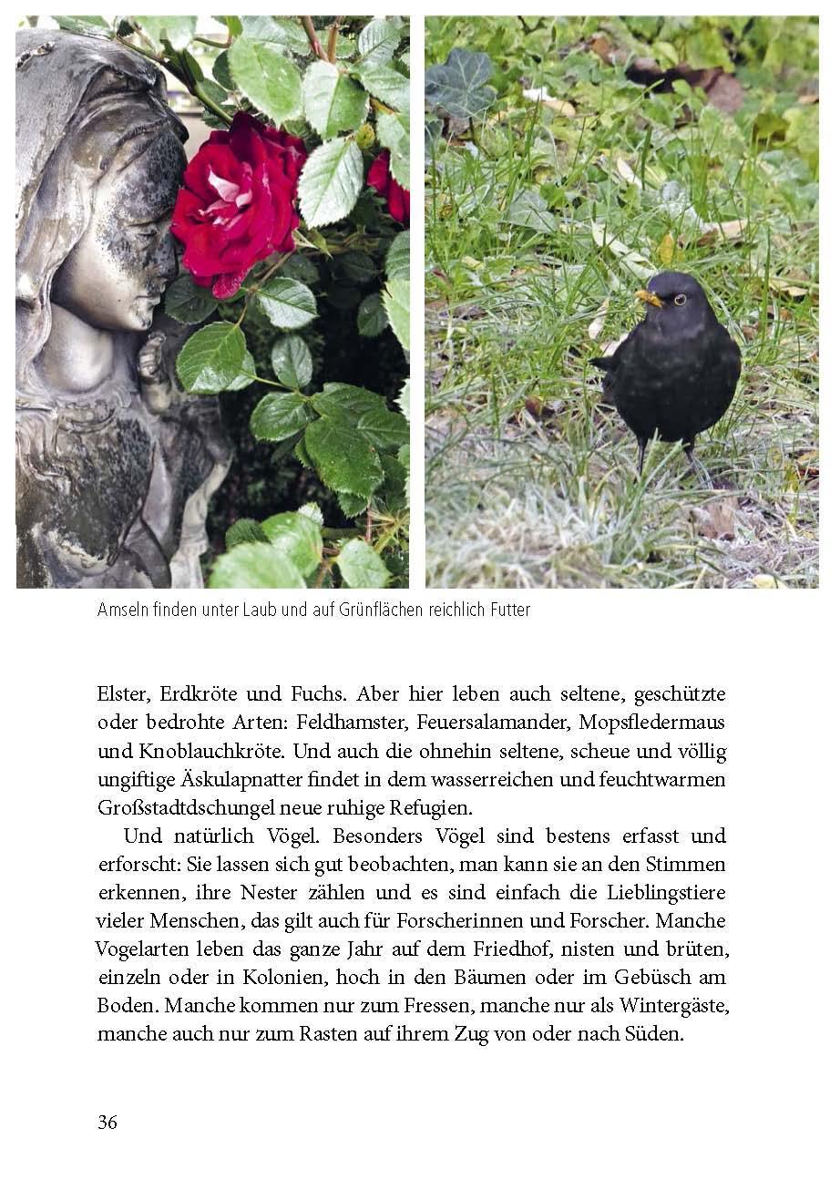 Bild: 9783895664137 | Der Friedhof lebt! | Orte für Artenvielfalt, Naturschutz und Begegnung