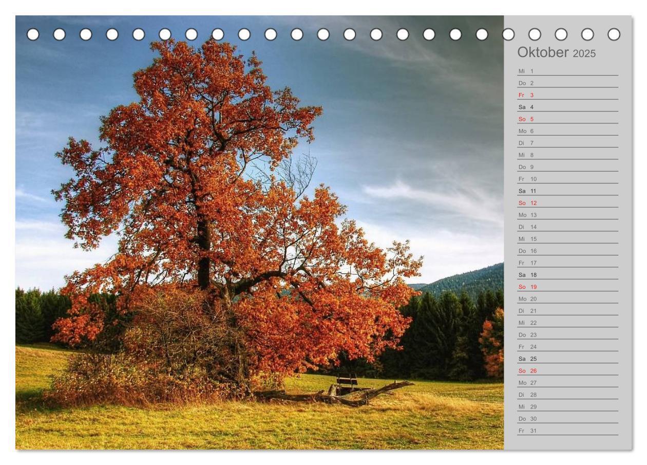 Bild: 9783435794980 | Zwischen Harz und Heide (Tischkalender 2025 DIN A5 quer), CALVENDO...