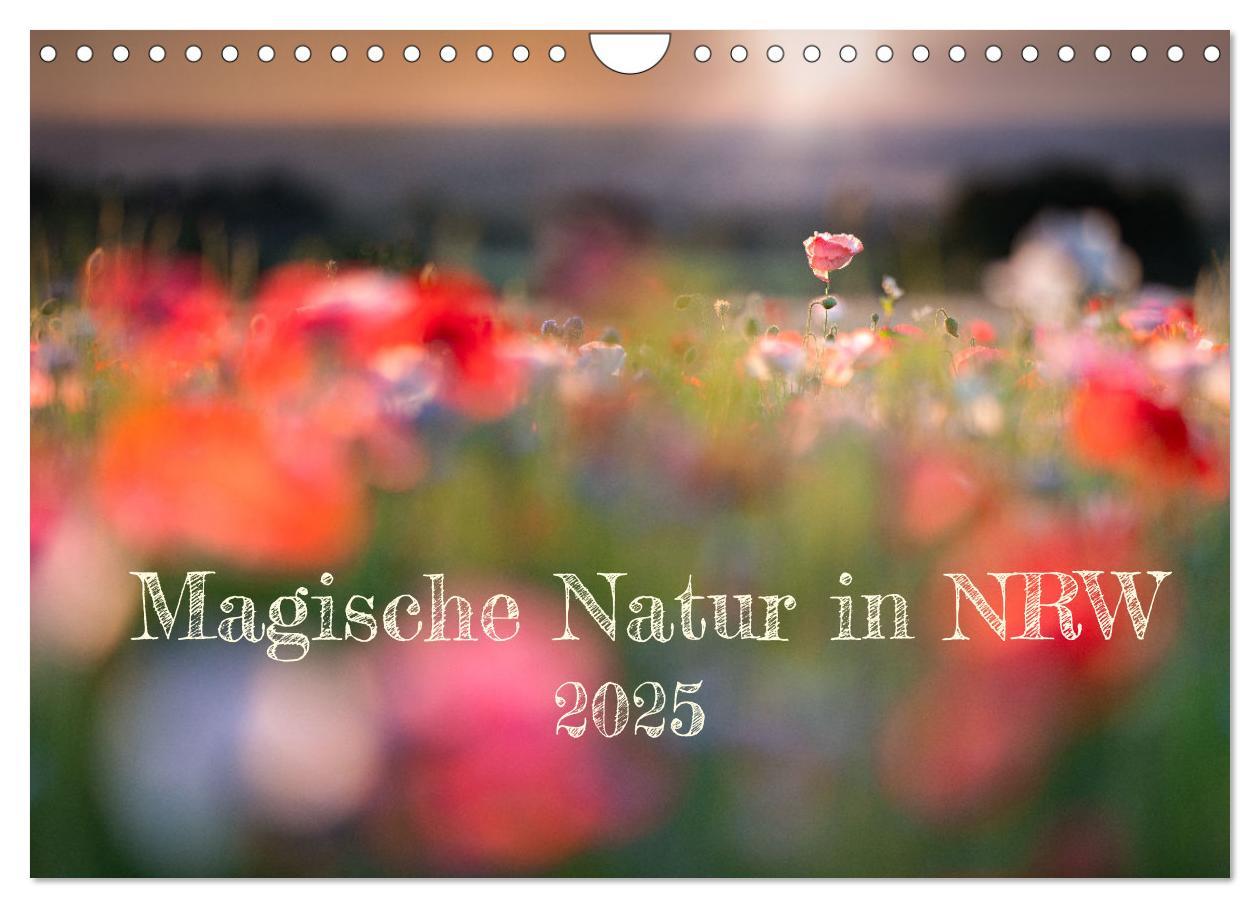 Cover: 9783435051663 | Magische Natur in NRW 2025 (Wandkalender 2025 DIN A4 quer),...