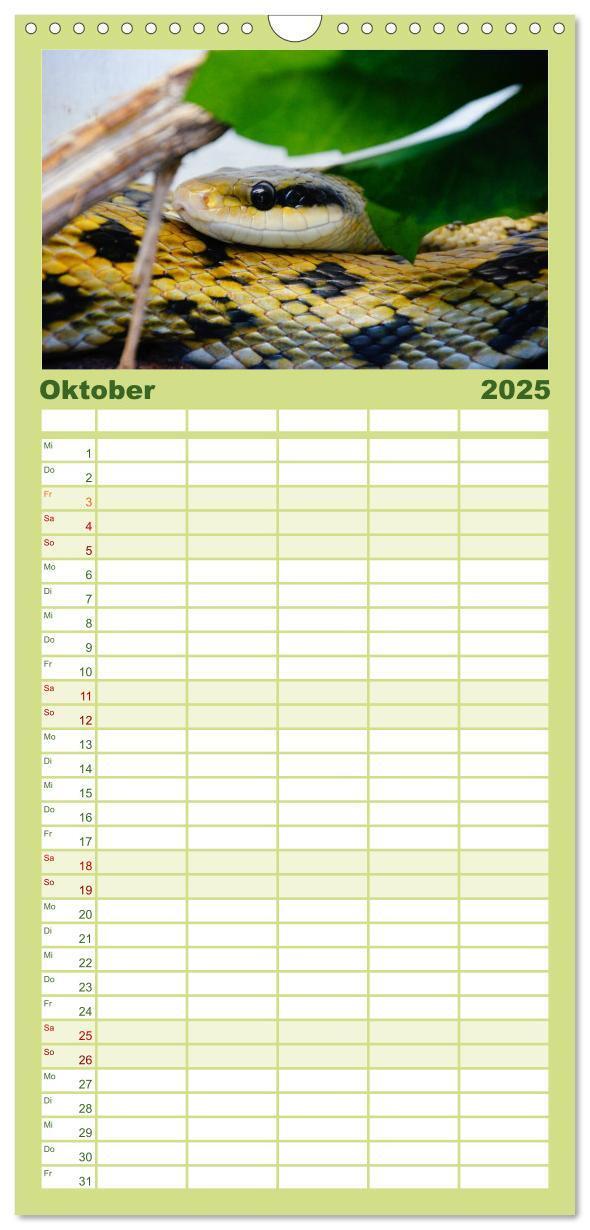 Bild: 9783457125281 | Familienplaner 2025 - Schlangen mit 5 Spalten (Wandkalender, 21 x...