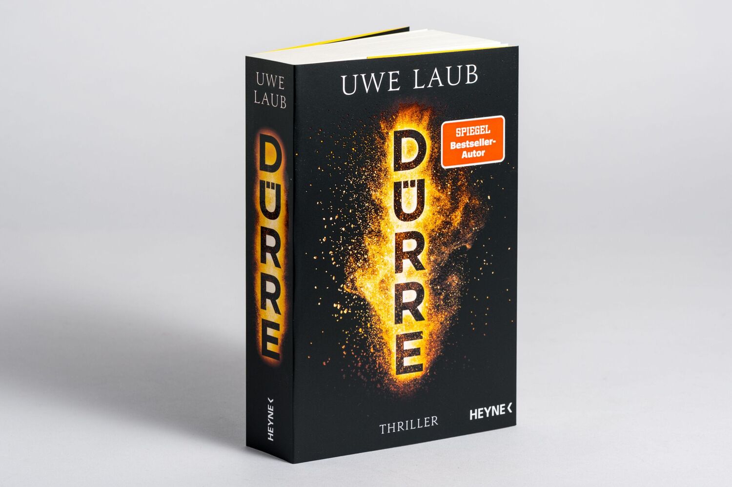 Bild: 9783453441187 | Dürre | Thriller | Uwe Laub | Taschenbuch | 464 S. | Deutsch | 2021