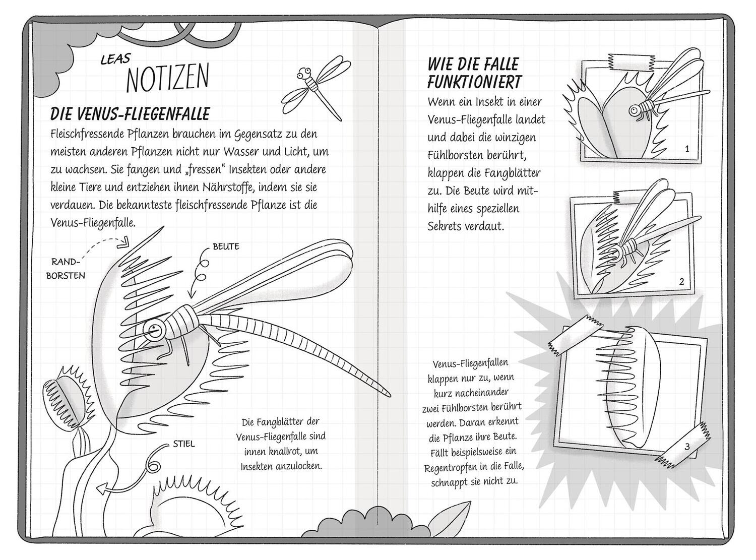 Bild: 9783831049400 | Ein Fall für die Forscher-Kids 8. Achtung, Pflanzendiebe! | S. J. King