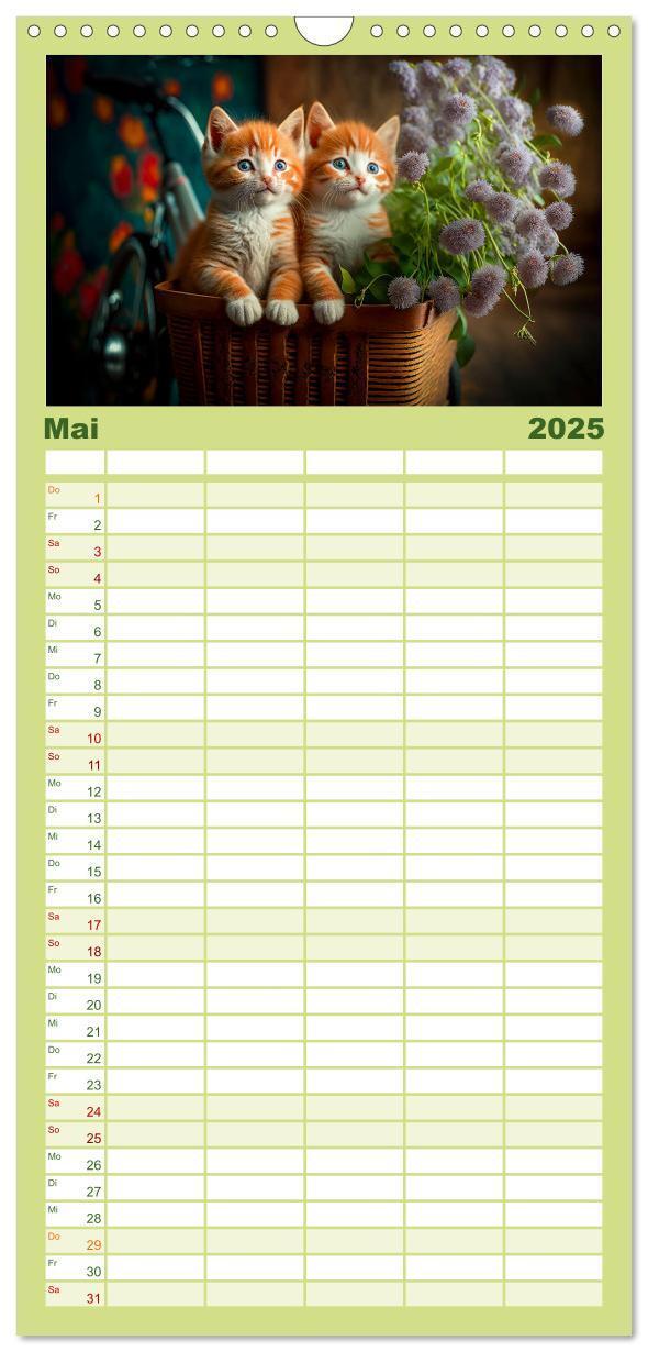 Bild: 9783457094228 | Familienplaner 2025 - Katzen Freunde mit 5 Spalten (Wandkalender,...