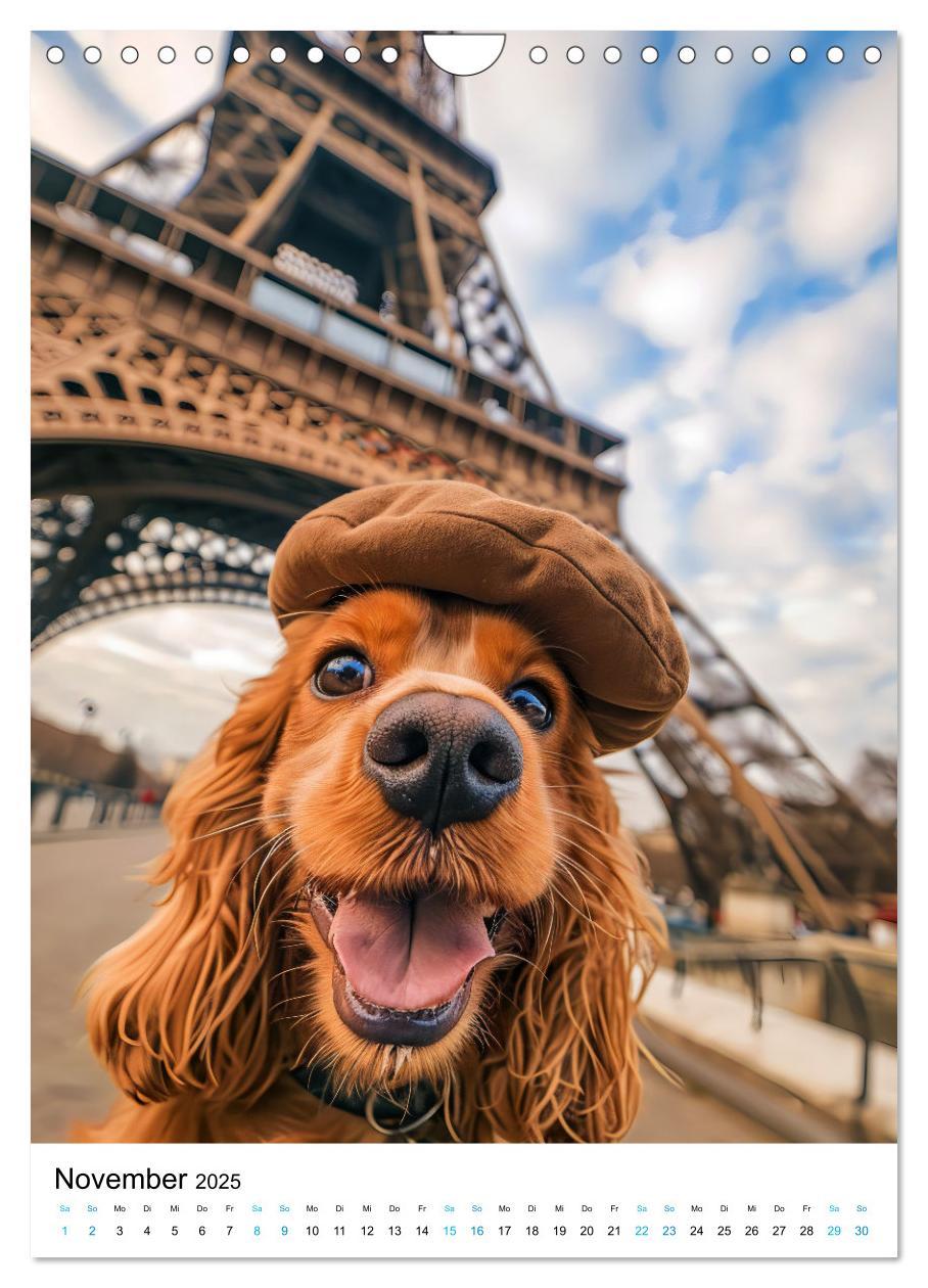 Bild: 9783383763441 | Cavalier King Charles Spaniel - Lustige Weltenreise im Selfie-Modus...