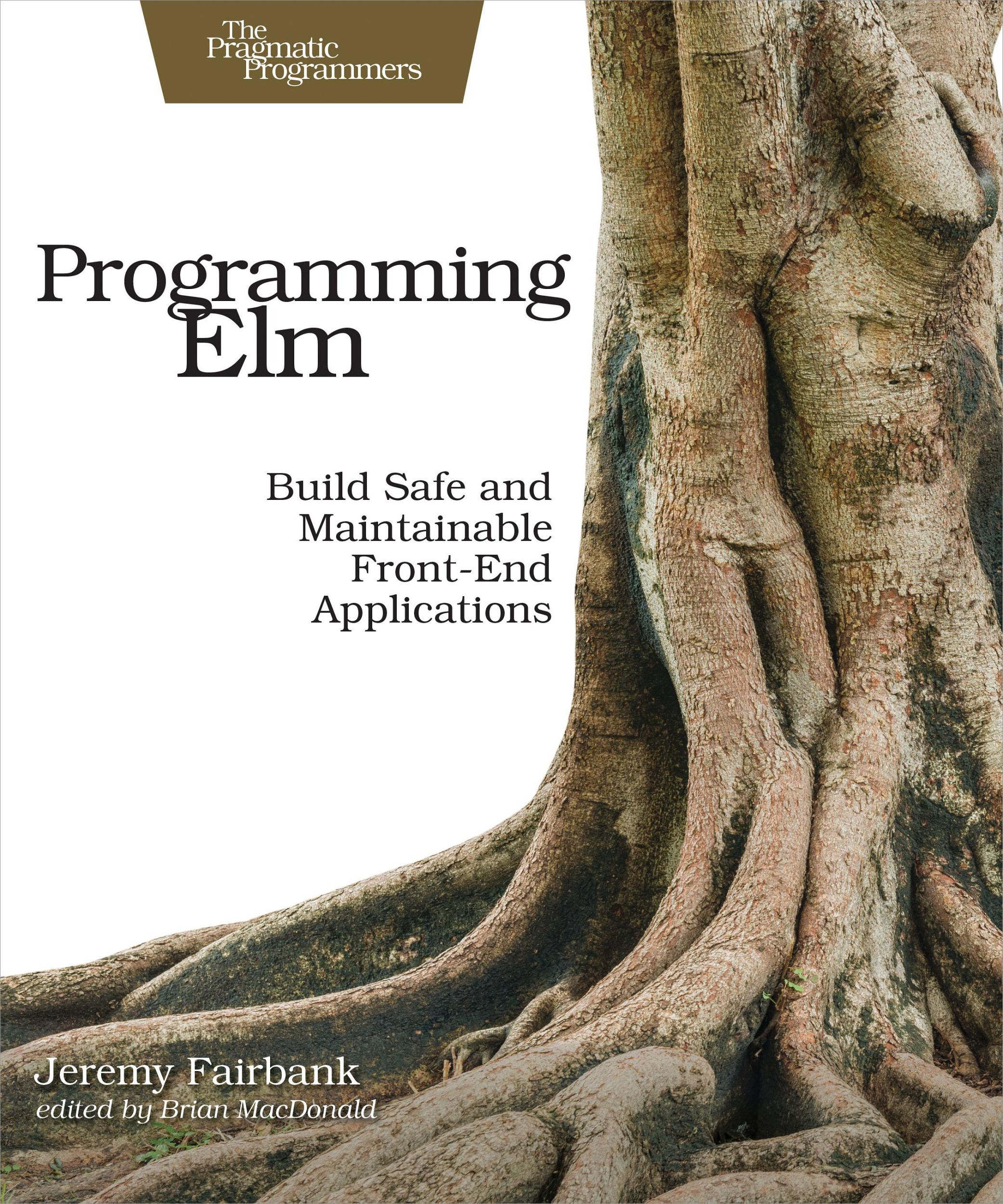 Cover: 9781680502855 | Programming ELM | Jeremy Fairbank | Taschenbuch | Englisch | 2019