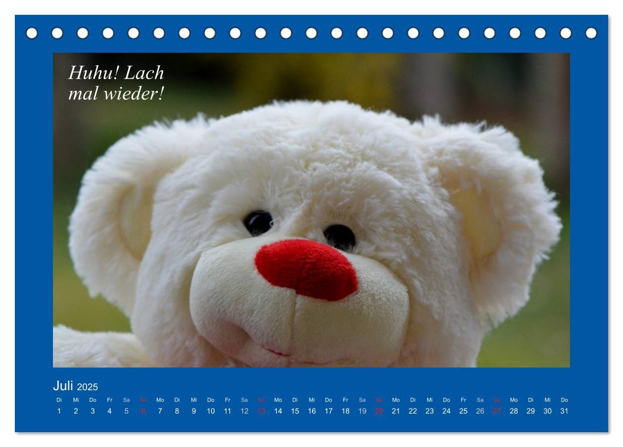 Bild: 9783435593972 | Sommer im Teddy-Land. Bär und Freunde (Tischkalender 2025 DIN A5...