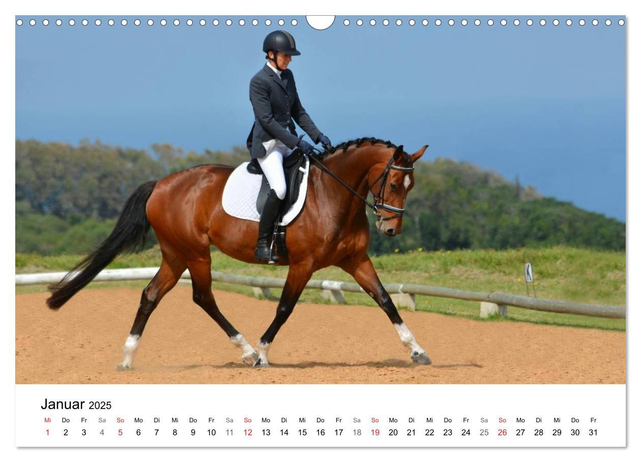 Bild: 9783435618057 | Vielseitigkeitsreiten (Wandkalender 2025 DIN A3 quer), CALVENDO...