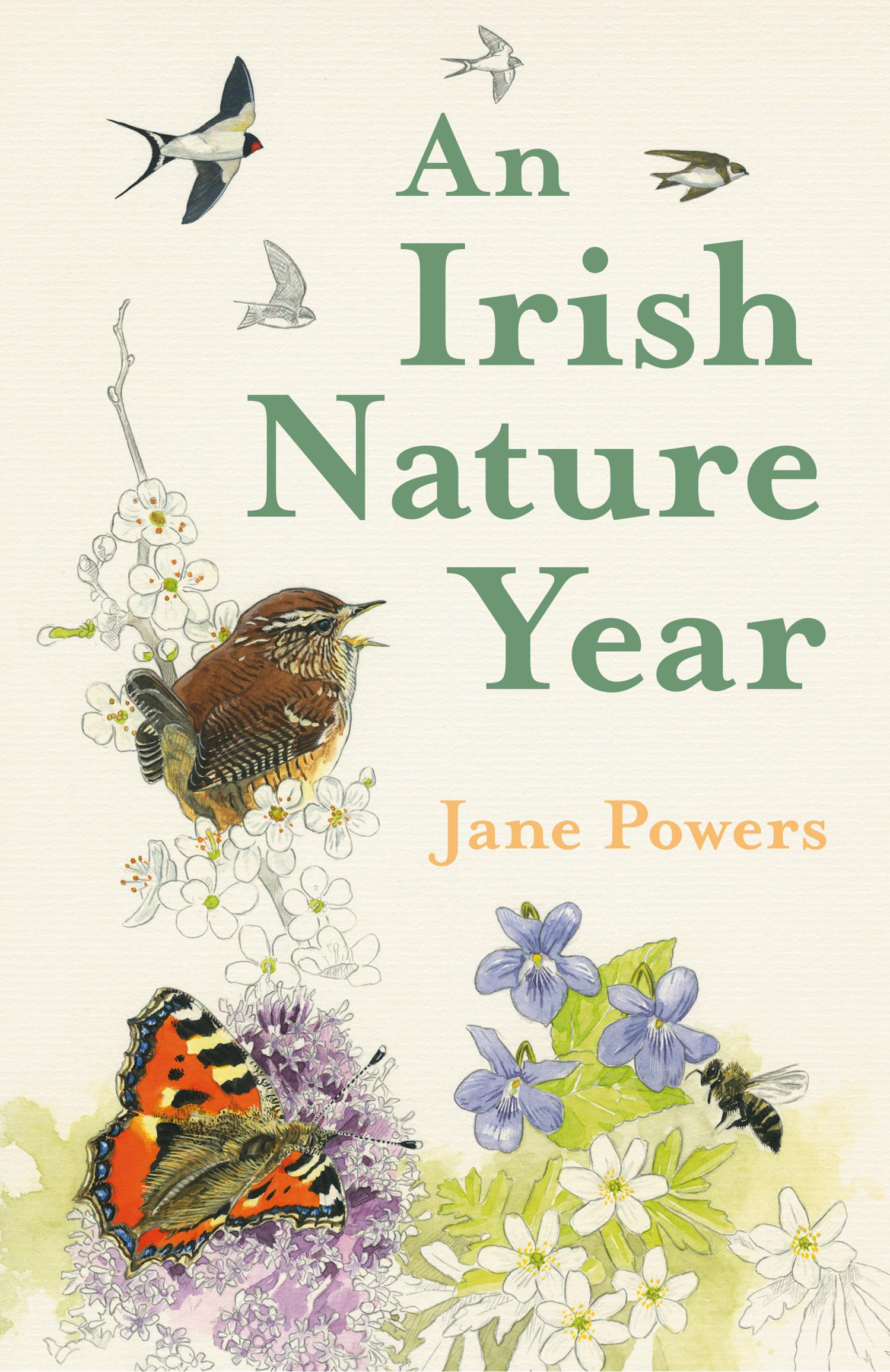 Cover: 9780008392147 | An Irish Nature Year | Jane Powers | Buch | Gebunden | Englisch | 2020