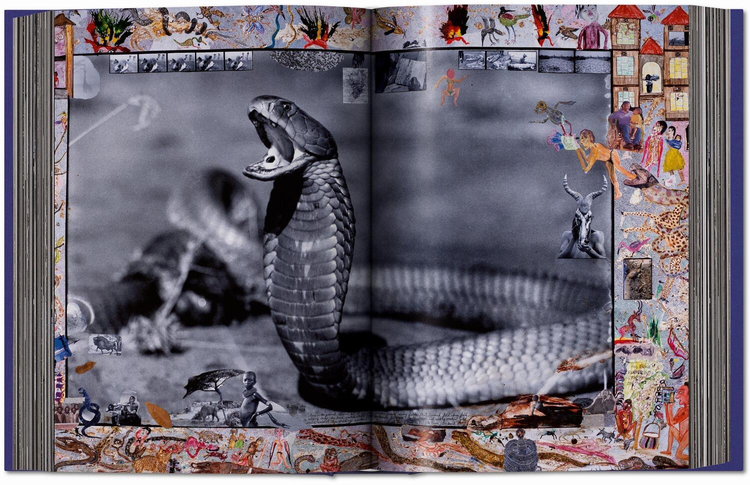 Bild: 9783836577427 | Peter Beard | Owen Edwards (u. a.) | Buch | GER, Hardcover | 770 S.