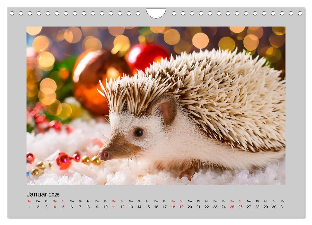 Bild: 9783435504527 | Mein Igel-Kalender (Wandkalender 2025 DIN A4 quer), CALVENDO...