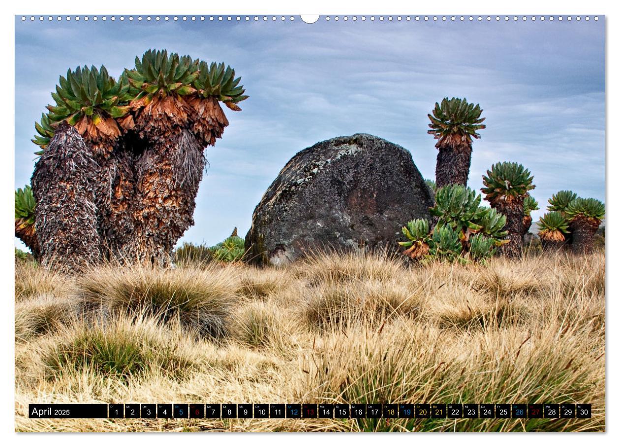 Bild: 9783383761171 | Kilimanjaro - das Dach Afrikas (Wandkalender 2025 DIN A2 quer),...