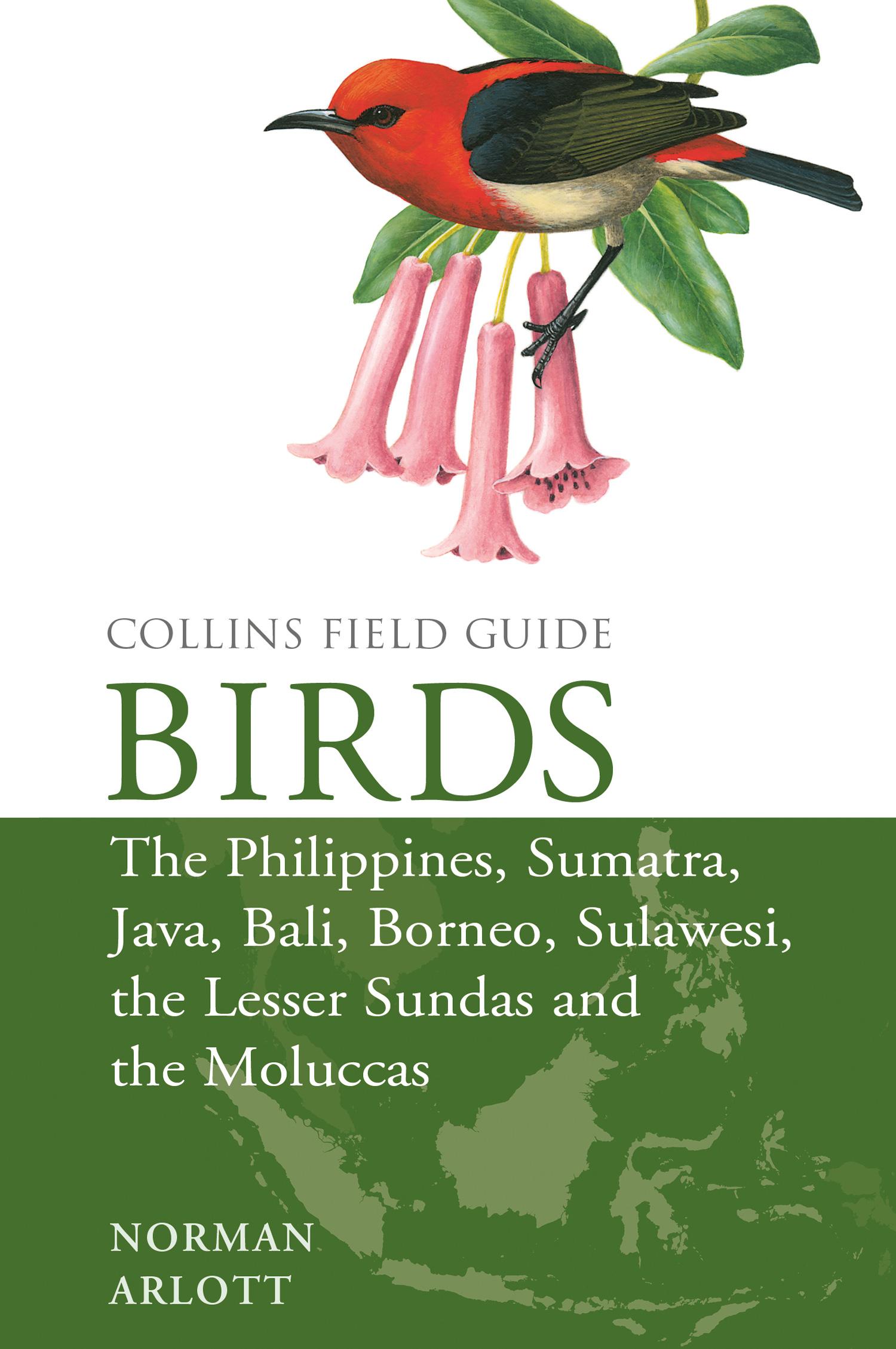 Cover: 9780008102395 | Birds of the Philippines | Norman Arlott | Buch | Collins Field Guides