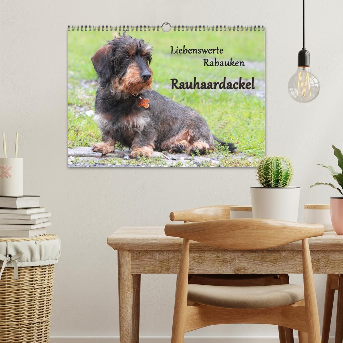 Bild: 9783435742882 | Liebenswerte Rabauken Rauhaardackel / CH-Version (Wandkalender 2025...