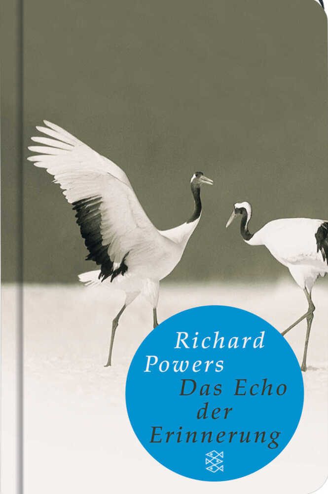 Cover: 9783596510375 | Das Echo der Erinnerung | Richard Powers | Buch | 923 S. | Deutsch