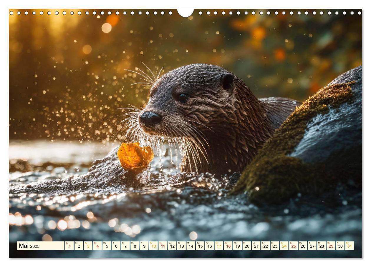 Bild: 9783383906145 | Fischotter - schlaue Jäger (Wandkalender 2025 DIN A3 quer),...