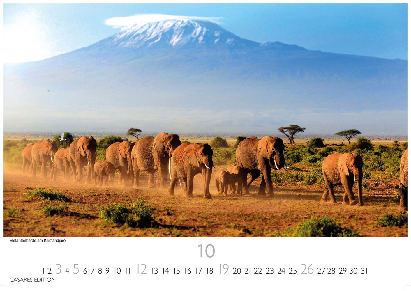 Bild: 9781835240618 | Kenia/Serengeti 2025 S 24x35 cm | Kalender | 14 S. | Deutsch | 2025