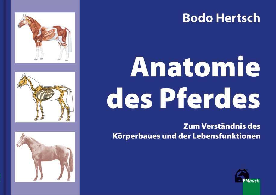 Cover: 9783885427575 | Anatomie des Pferdes | Bodo Hertsch | Buch | 120 S. | Deutsch | 2012