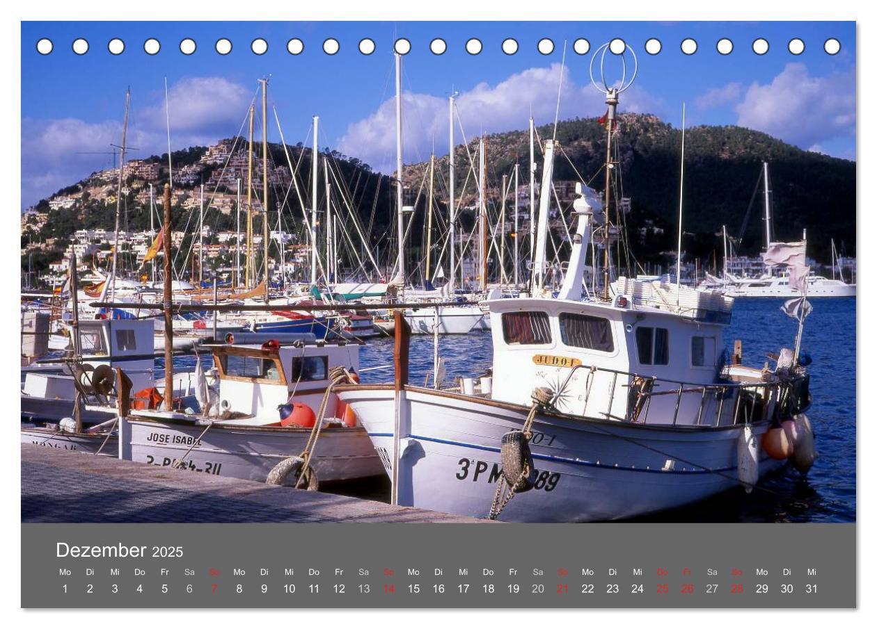 Bild: 9783435699780 | Trauminsel Mallorca (Tischkalender 2025 DIN A5 quer), CALVENDO...