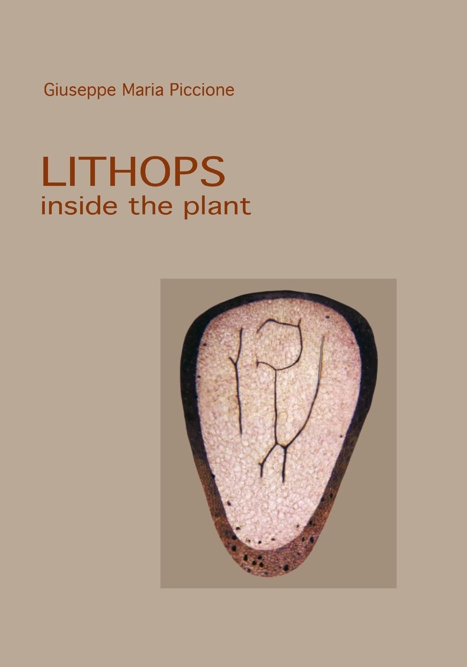 Cover: 9781471617683 | Lithops inside the plant | Taschenbuch | Englisch | 2022 | Lulu.com