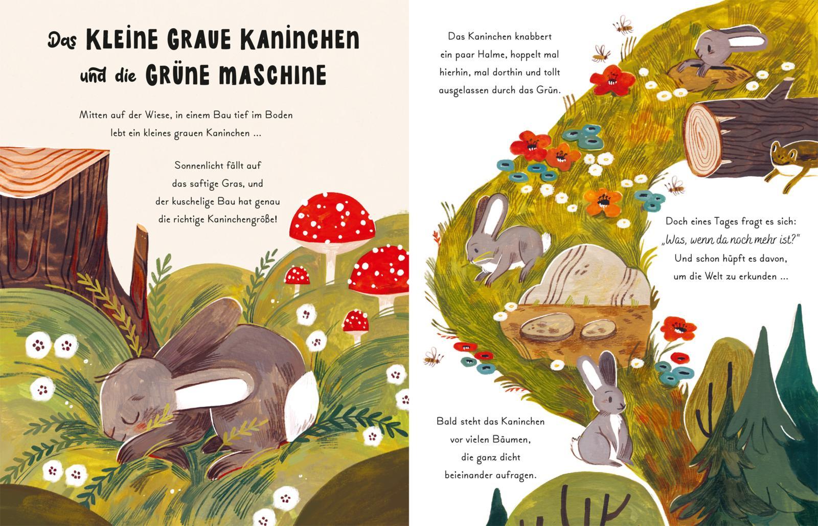 Bild: 9783551254580 | Kleine und große Wunder der Natur | Gabby Dawnay | Buch | 94 S. | 2023