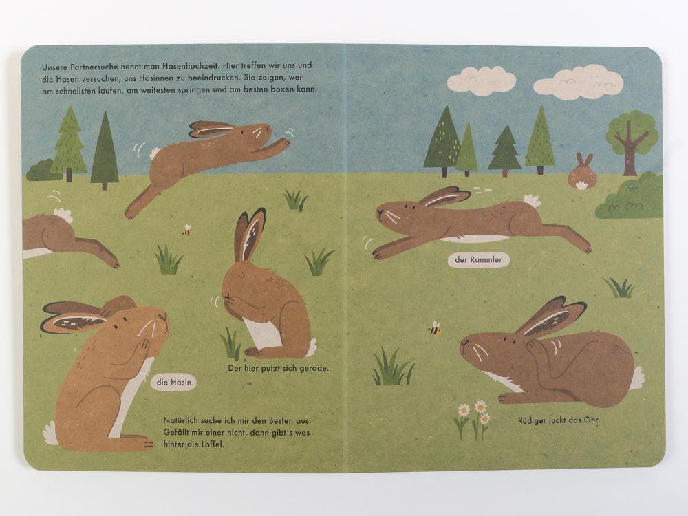 Bild: 9783407756268 | Ich bin der Hase | 100 % Naturbuch - Vierfarbiges Papp-Bilderbuch