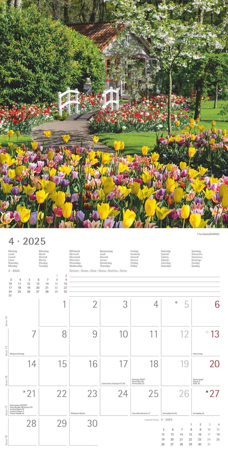 Bild: 4251732340629 | Gartenzauber 2025 - Broschürenkalender 30x30 cm (30x60 geöffnet) -...