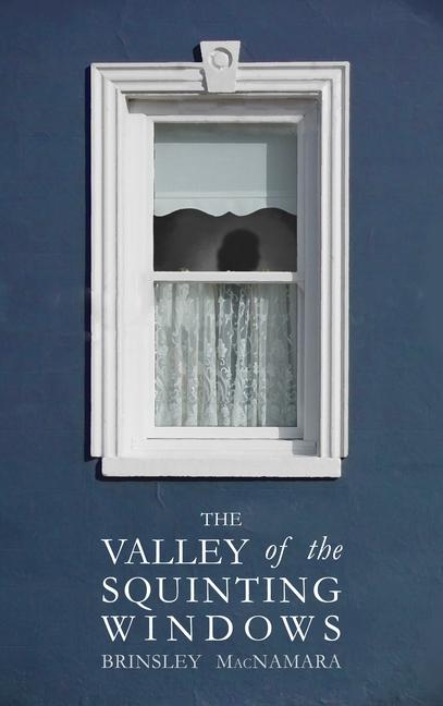 Cover: 9781781176498 | The Valley of the Squinting Windows | Brinsley McNamara | Taschenbuch