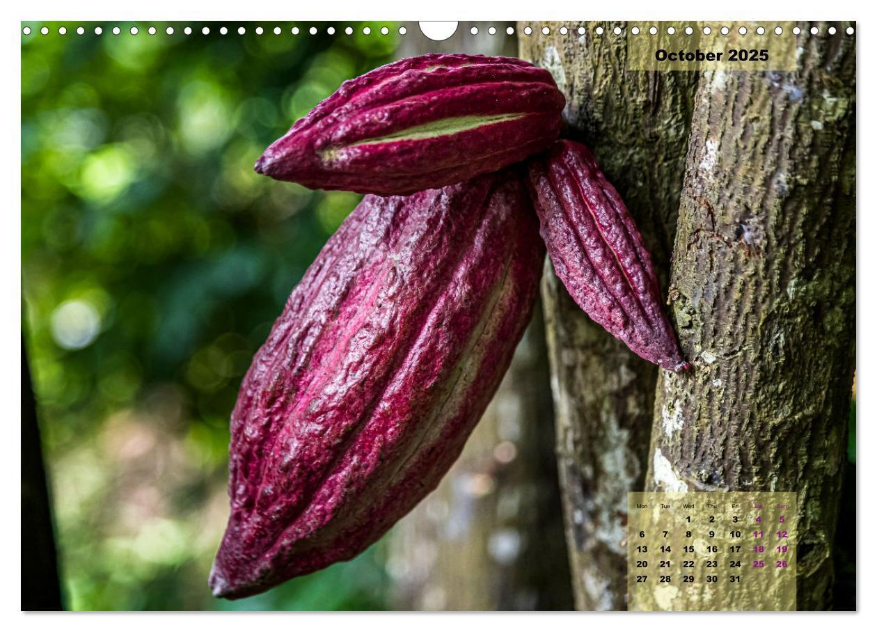 Bild: 9781325836536 | Fruits of Grenada (Wall Calendar 2025 DIN A3 landscape), CALVENDO...