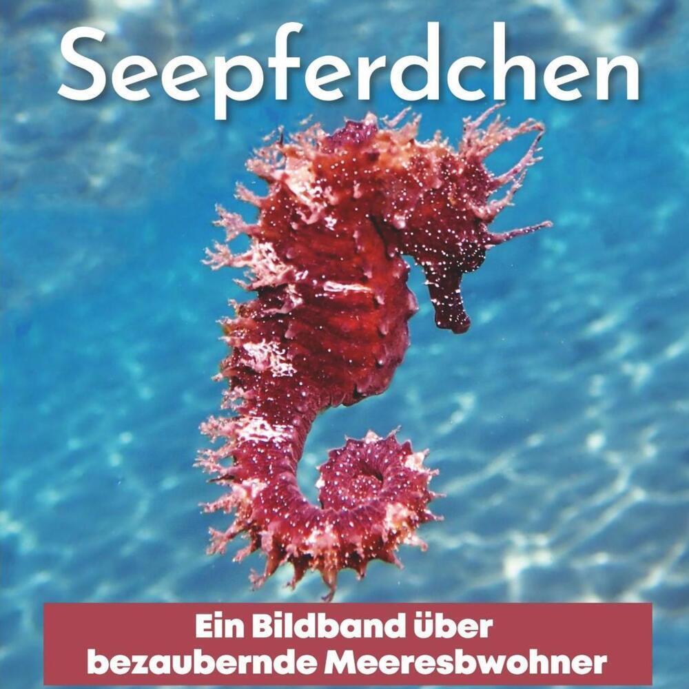 Cover: 9783750505872 | Seepferdchen | Ein Bildband über bezaubernde Meeresbewohner | Hübsch