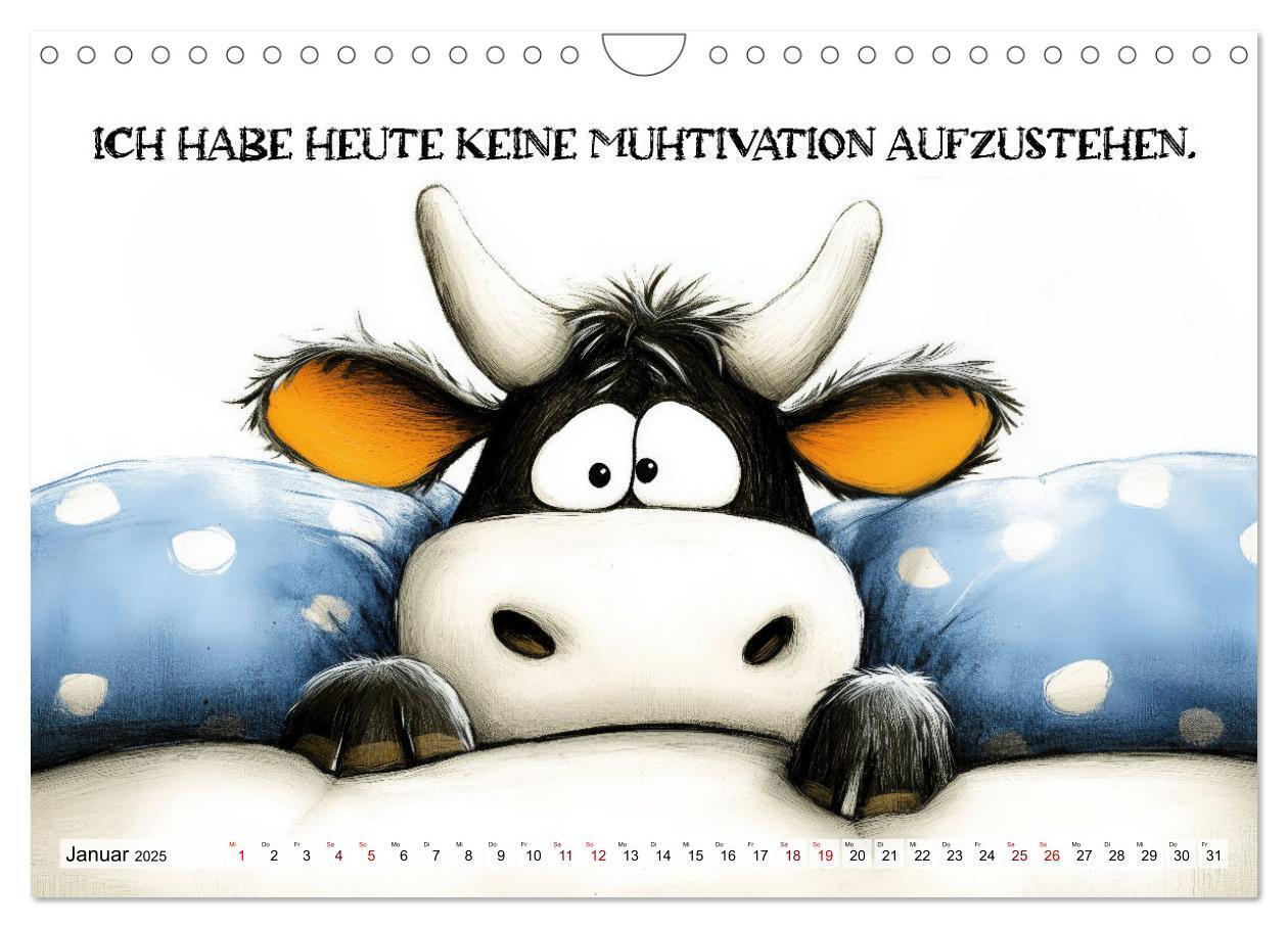 Bild: 9783457187029 | Kuhle Sprüche (Wandkalender 2025 DIN A4 quer), CALVENDO Monatskalender