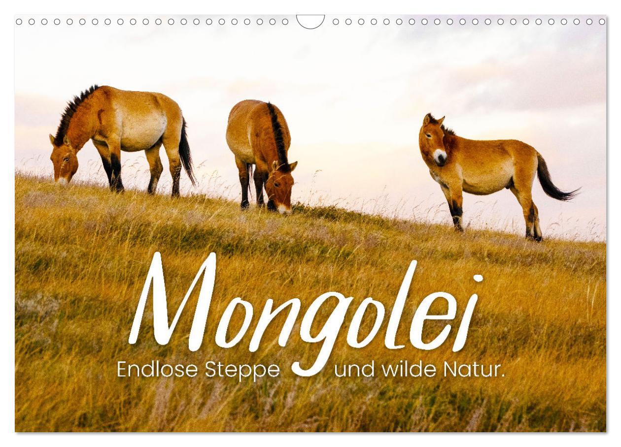 Cover: 9783435006724 | Mongolei - Endlose Steppe und wilde Natur. (Wandkalender 2025 DIN...