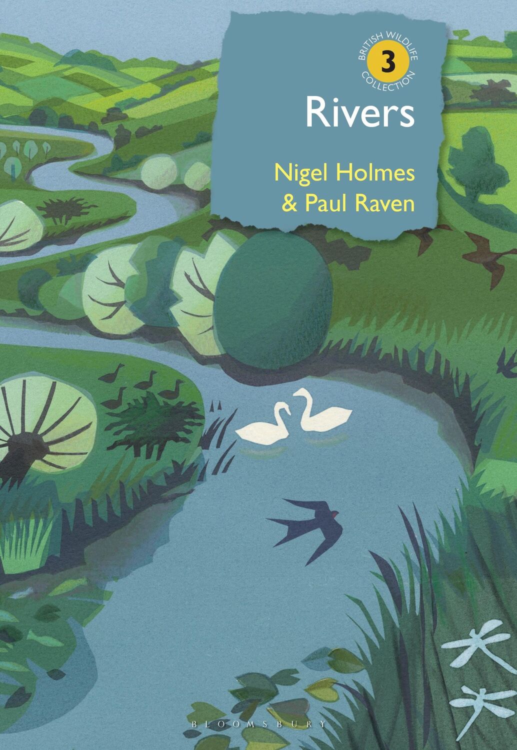 Cover: 9781472960351 | Rivers | A natural and not-so-natural history | Paul Raven (u. a.)