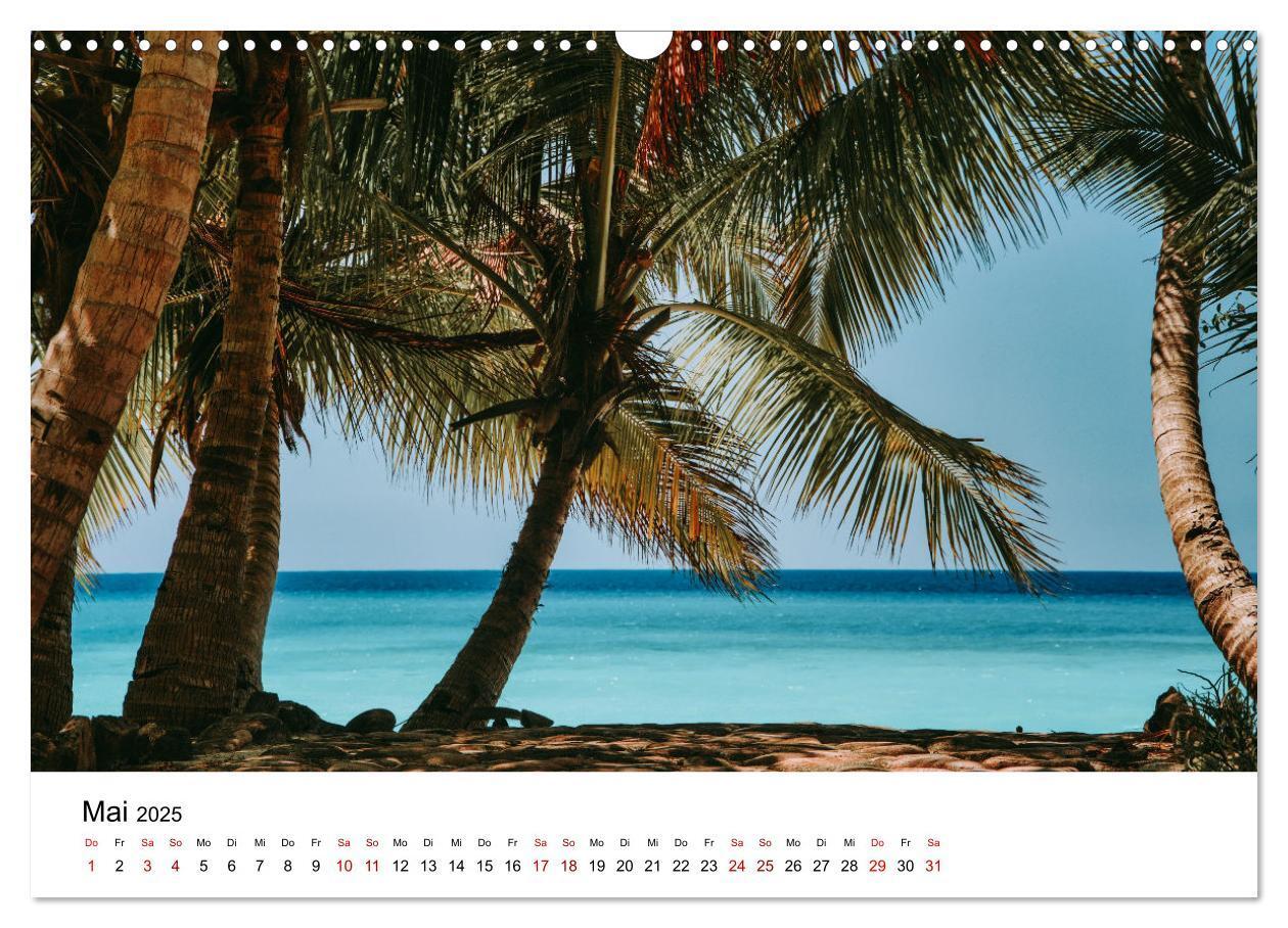 Bild: 9783383998089 | Naturparadies Madagaskar (Wandkalender 2025 DIN A3 quer), CALVENDO...