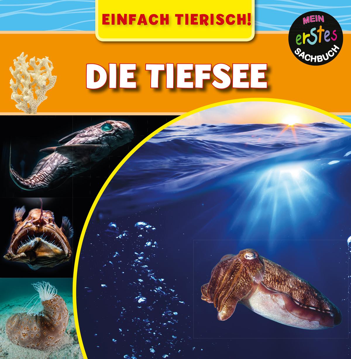 Cover: 9789463410946 | Die Tiefsee | Mary-Jane Wilkins | Buch | Einfach Tierisch! | 24 S.