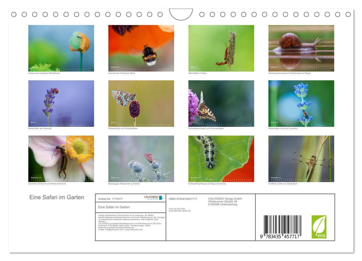 Bild: 9783435457717 | Eine Safari im Garten (Wandkalender 2025 DIN A4 quer), CALVENDO...