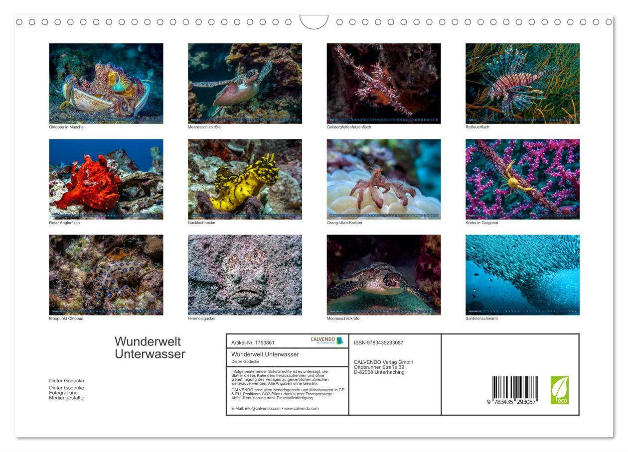 Bild: 9783435293087 | Wunderwelt Unterwasser (Wandkalender 2025 DIN A3 quer), CALVENDO...