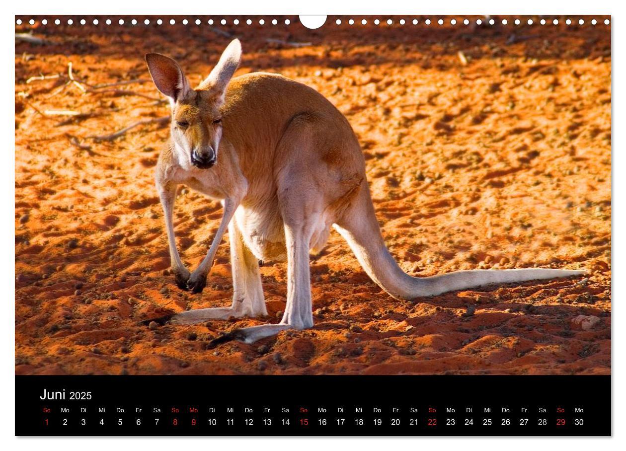 Bild: 9783435809592 | Australien (Wandkalender 2025 DIN A3 quer), CALVENDO Monatskalender