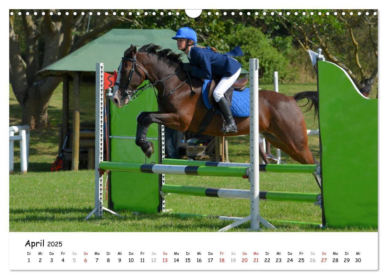 Bild: 9783435606481 | Pony Springreiten (Wandkalender 2025 DIN A3 quer), CALVENDO...