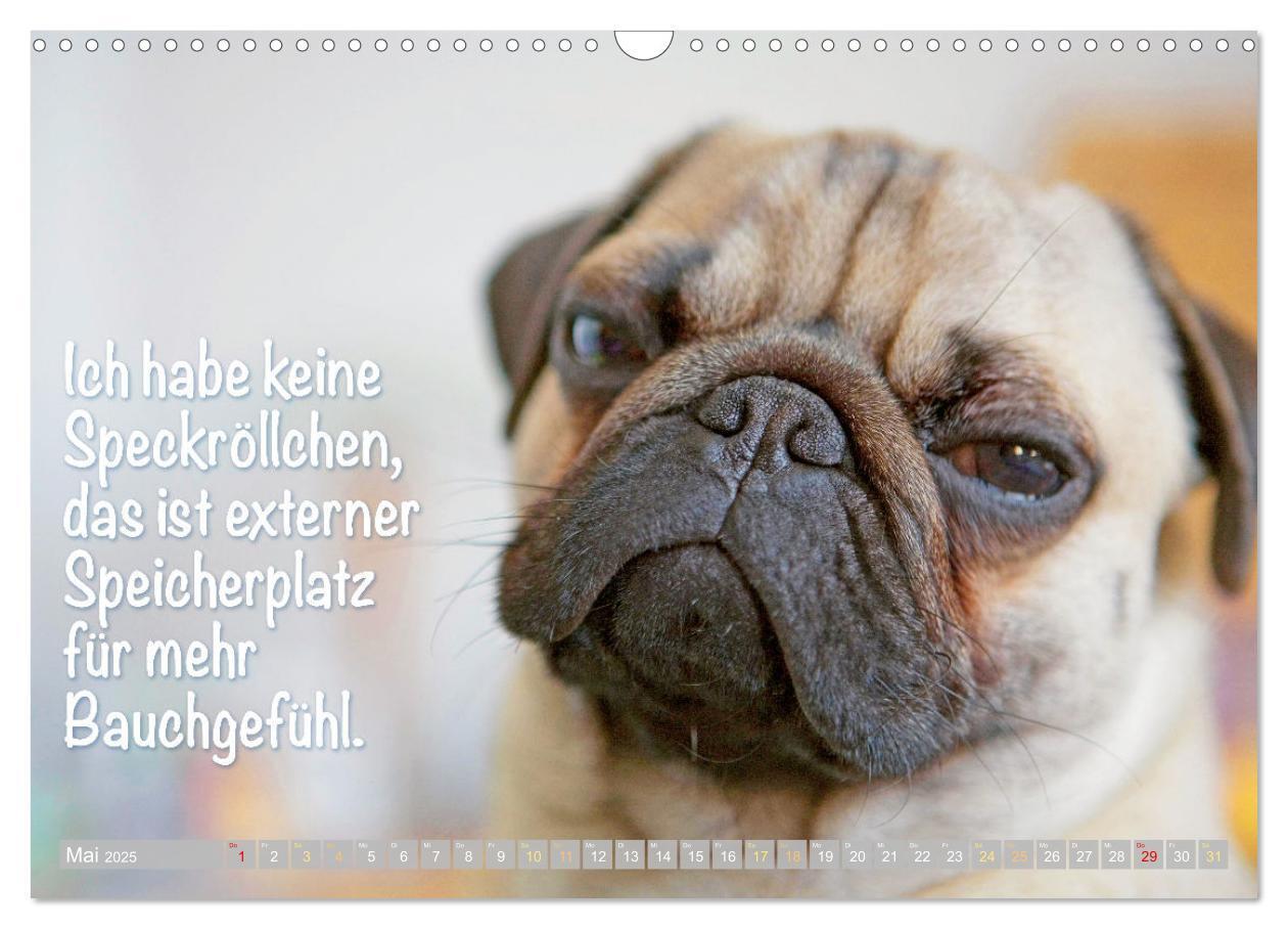 Bild: 9783435070022 | Der Mops: Nicht klein, sondern aufs Wesentliche reduziert. Edition...