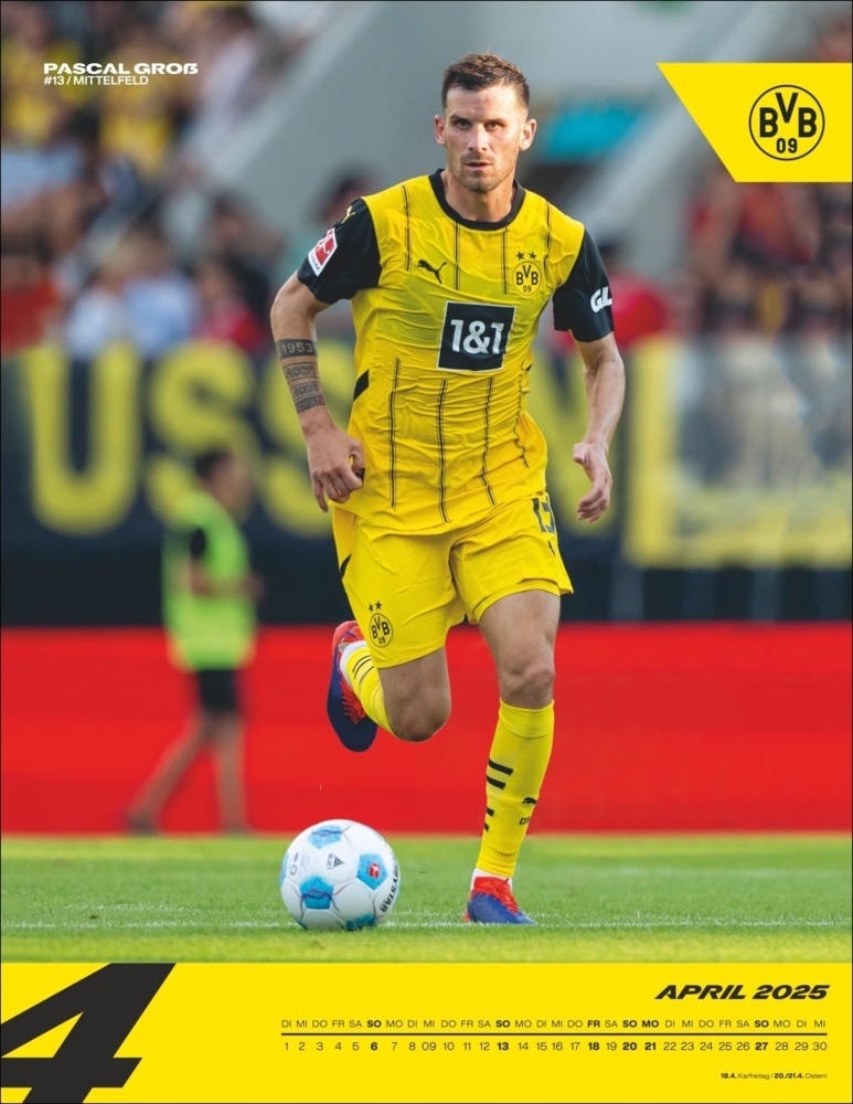 Bild: 9783756405435 | BVB Posterkalender 2025 | Kalender | Spiralbindung | 15 S. | Deutsch