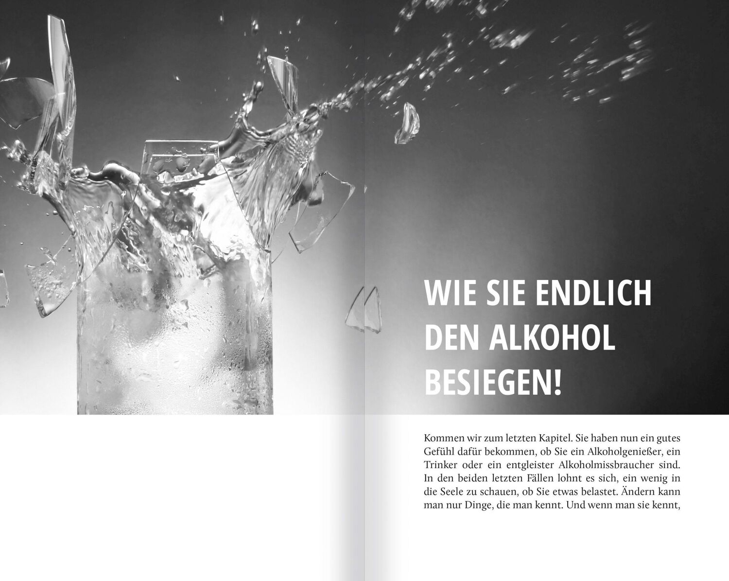 Bild: 9783863746766 | Die Sache mit dem Alkohol | Andreas Winter | Taschenbuch | 190 S.