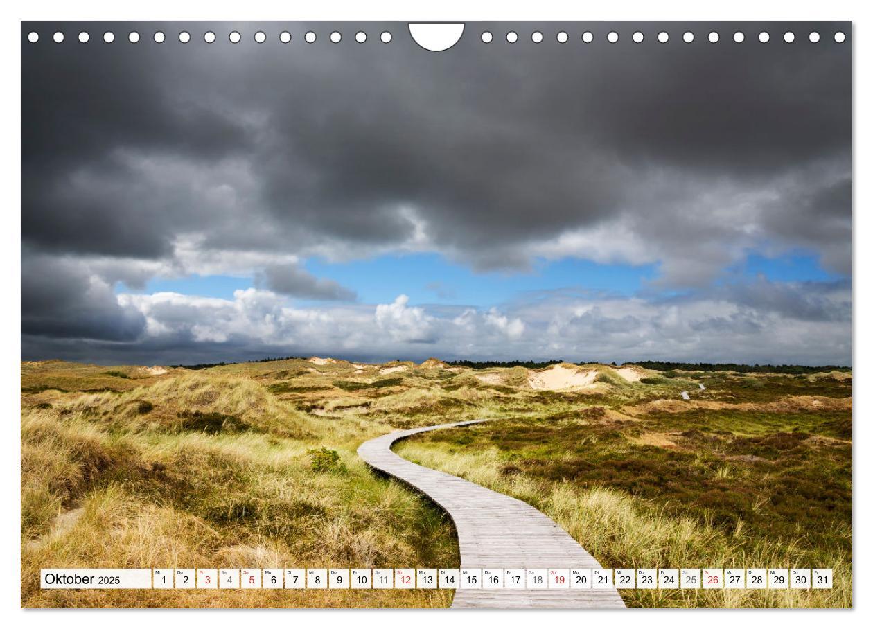 Bild: 9783435618842 | Amrum. Natur und Landschaften (Wandkalender 2025 DIN A4 quer),...