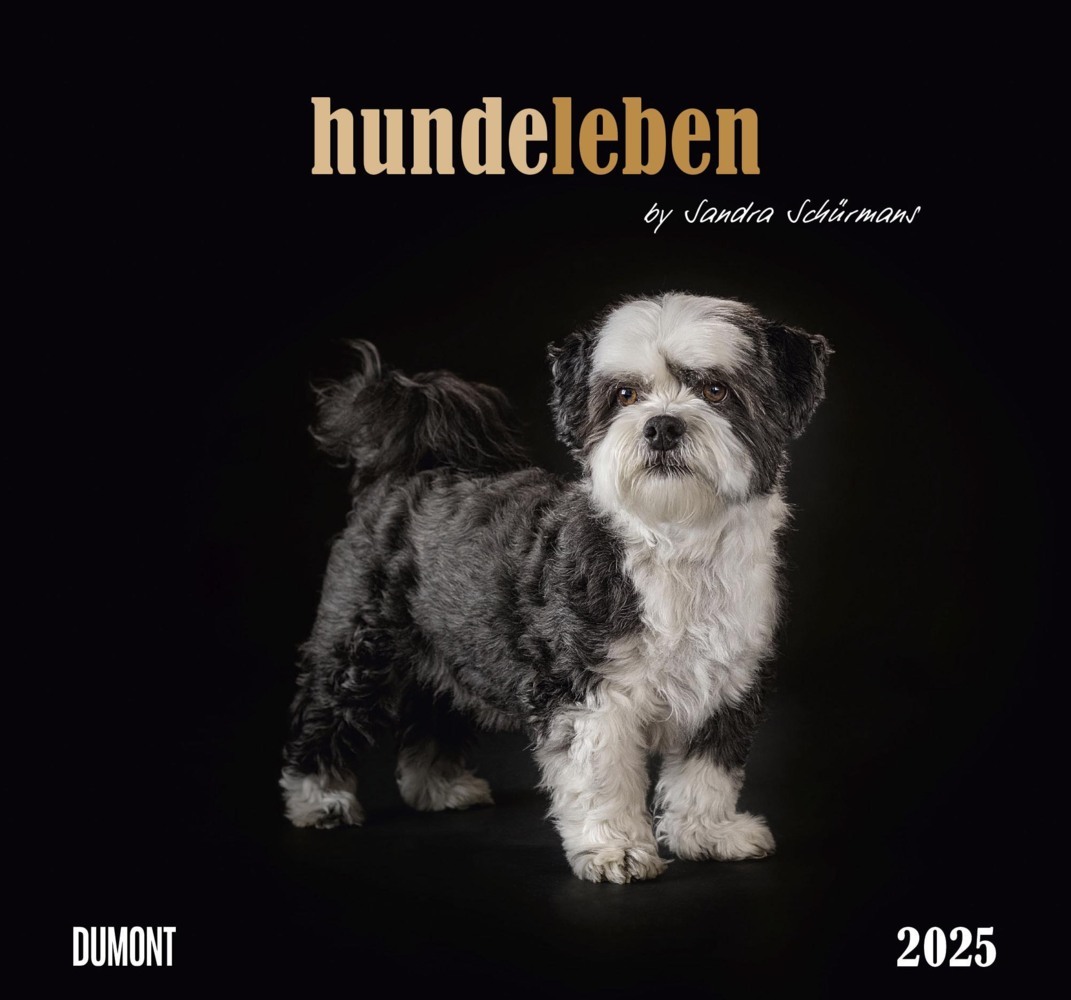 Cover: 4250809653365 | DUMONT - Hundeleben 2025 Wandkalender, 38x35,5cm,...