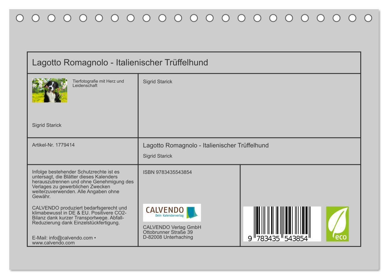 Bild: 9783435543854 | Lagotto Romagnolo - Italienischer Trüffelhund (Tischkalender 2025...