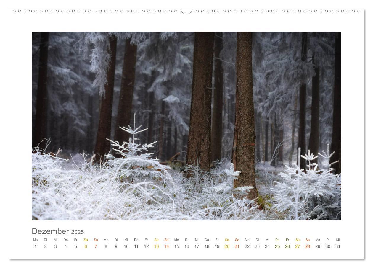 Bild: 9783435411092 | Im Märchenwald des Untertaunus (hochwertiger Premium Wandkalender...