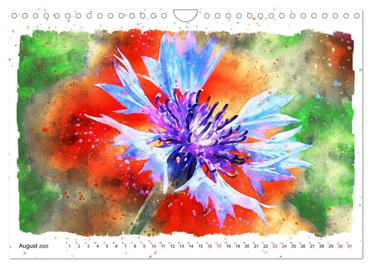 Bild: 9783435141241 | Mohnblüten in Aquarell (Wandkalender 2025 DIN A4 quer), CALVENDO...