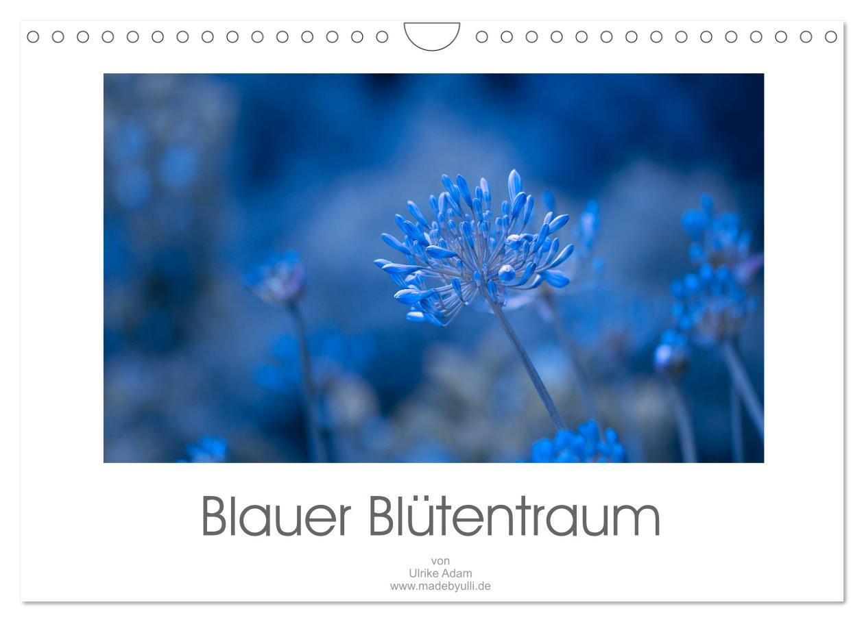 Cover: 9783435301355 | Blauer Blütentraum (Wandkalender 2025 DIN A4 quer), CALVENDO...