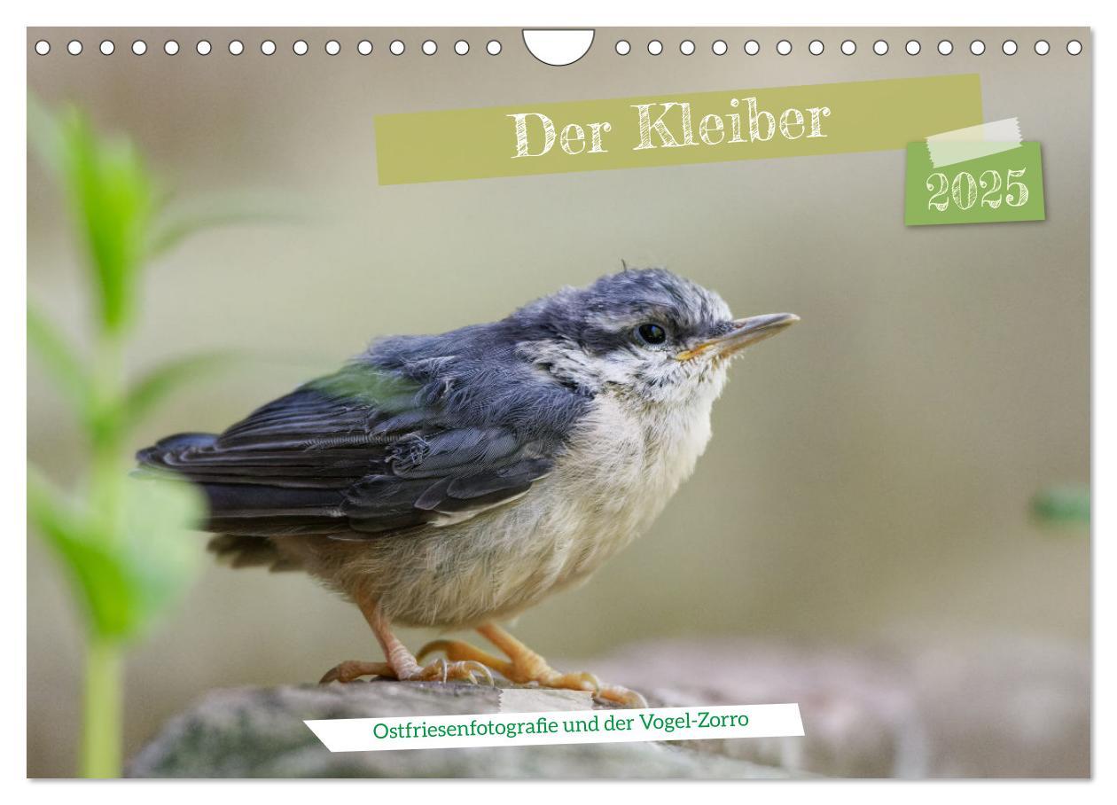 Cover: 9783383924484 | Der Kleiber - Ostfriesenfotografie und der Vogel-Zorro...