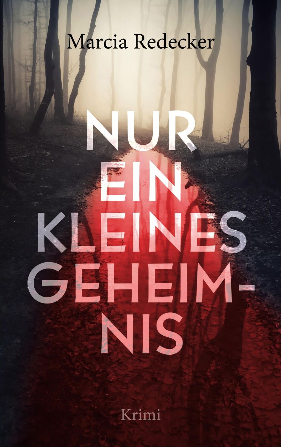 Cover: 9783740787844 | Nur ein kleines Geheimnis | Marcia Redecker | Taschenbuch | Paperback