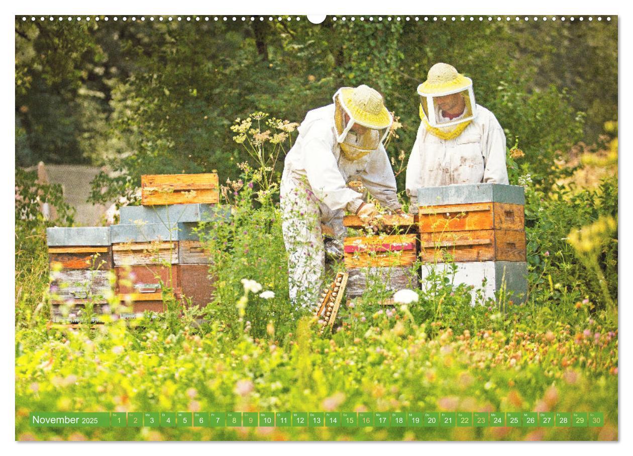 Bild: 9783383886270 | Süßes Gold: Imker, Bienen &amp; Honig (Wandkalender 2025 DIN A2 quer),...